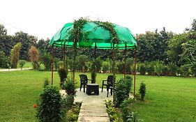 Nature Homestay